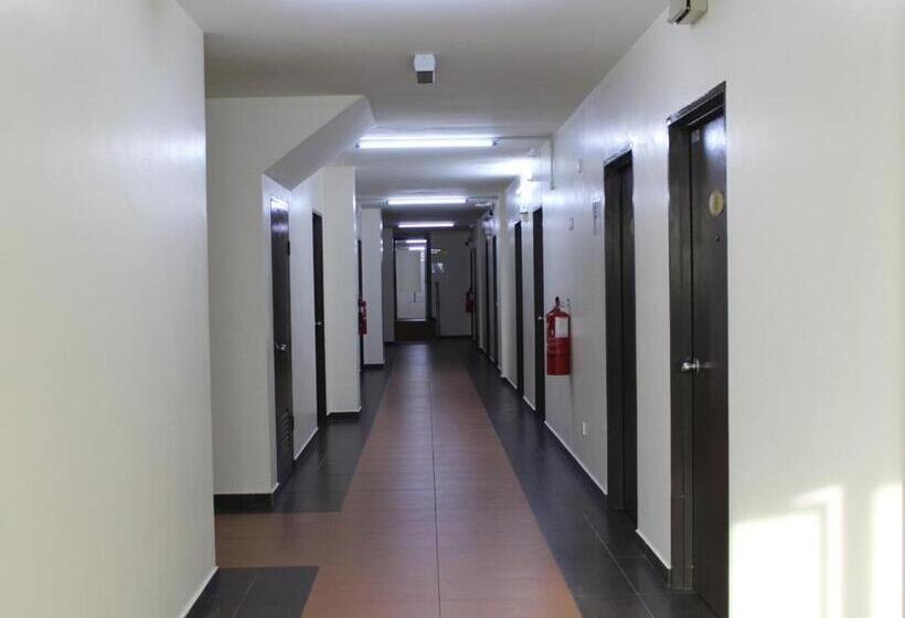 Pokój Standard, Jq Suria