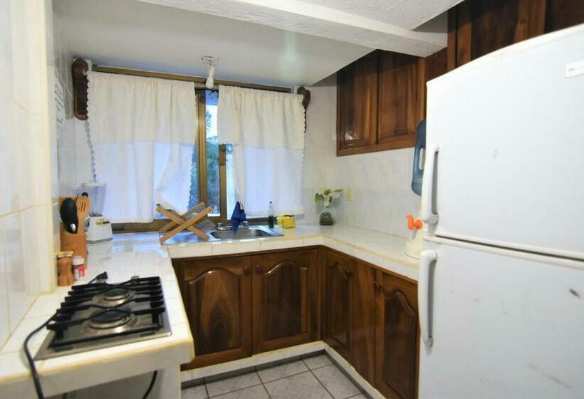 Семейный Номер Superior, Don Miguel Plaza