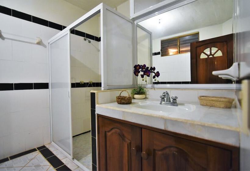 Quarto Familiar, Don Miguel Plaza