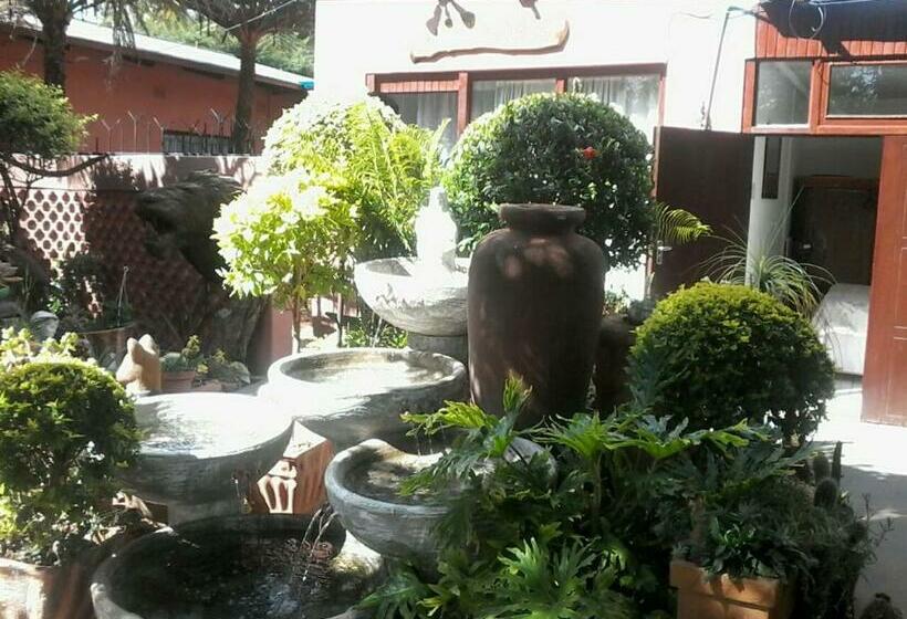 디럭스 룸, Reggies Bed & Breakfast