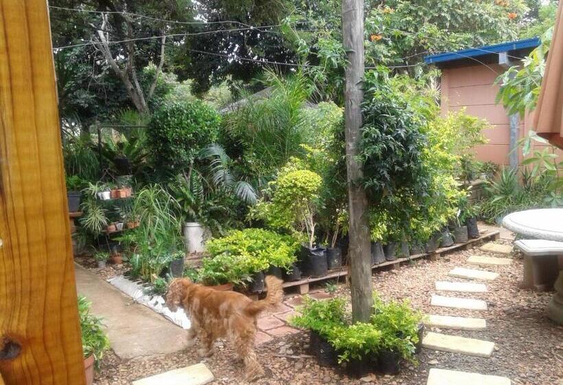 이코노미 룸, Reggies Bed & Breakfast