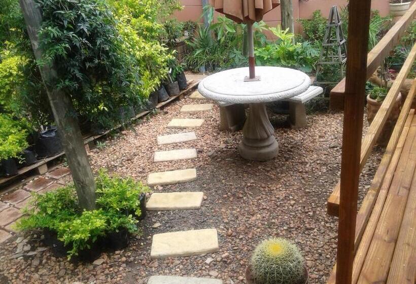 이코노미 룸, Reggies Bed & Breakfast