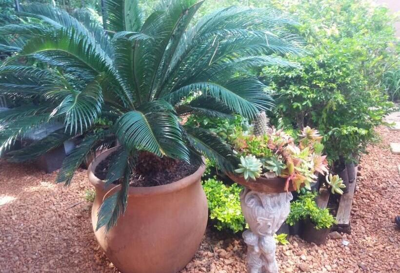 패밀리 룸, Reggies Bed & Breakfast