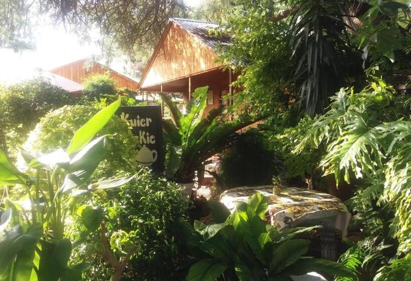 패밀리 룸, Reggies Bed & Breakfast