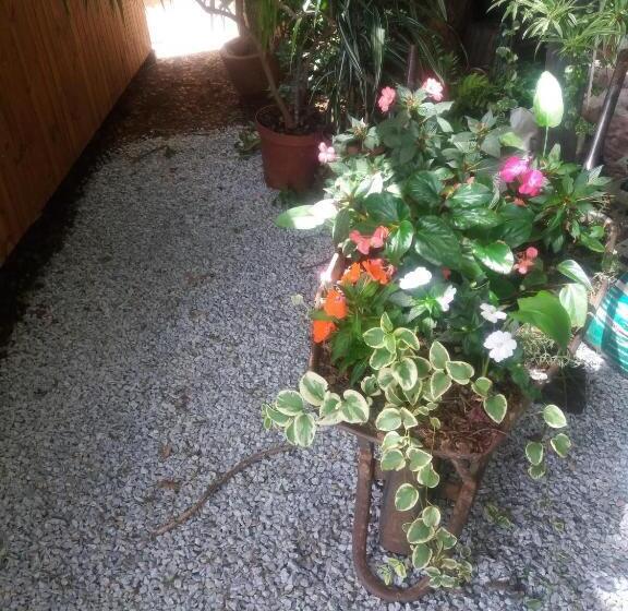 패밀리 룸, Reggies Bed & Breakfast