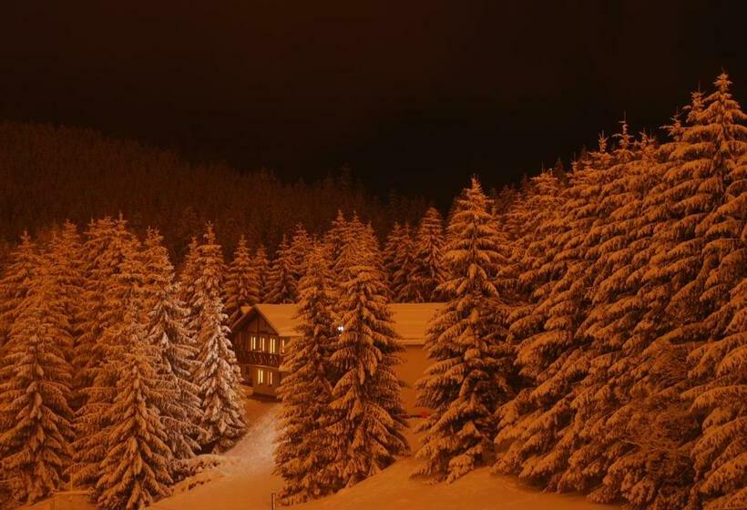 Апартаменты Deluxe 1 Спальня, Family Apartments