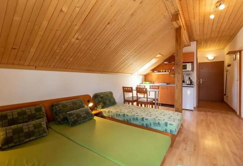Standard-studio, Family Apartments