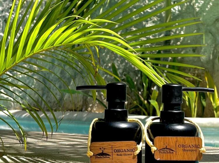 Delüks Bungalov, Pacha Tulum