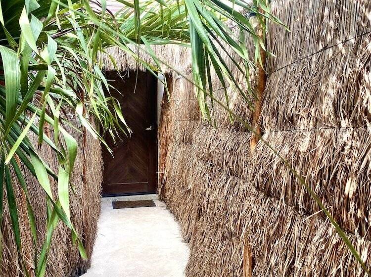 سوئیت پرزیدنت, Pacha Tulum