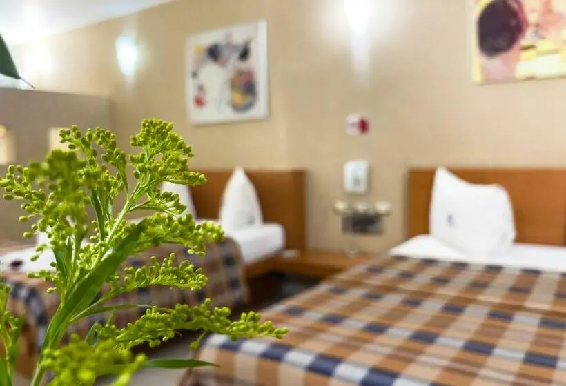 اتاق استاندارد با 2 تخت دوبل, Auto Hotel Mediterráneo