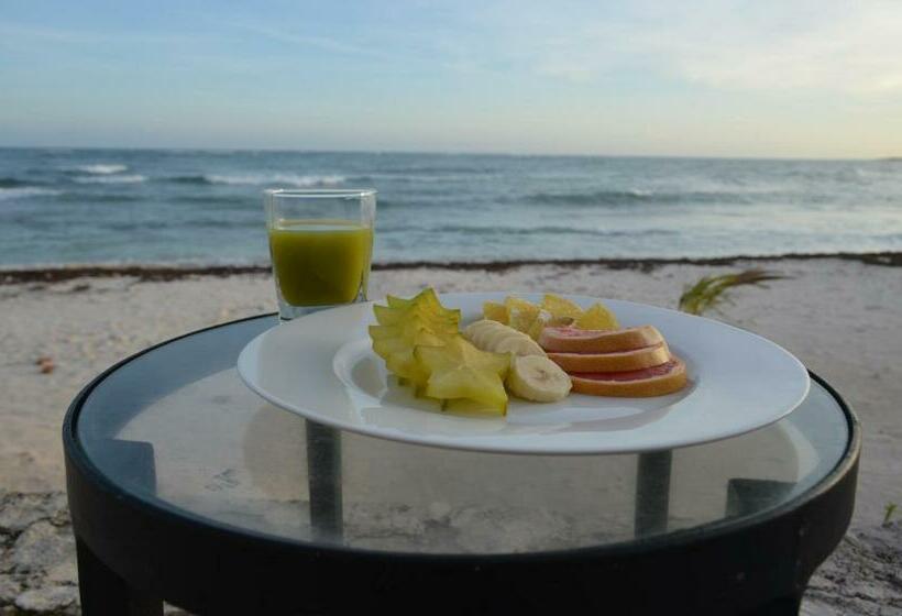 带1个卧室的高档别墅, Caleta Tankah