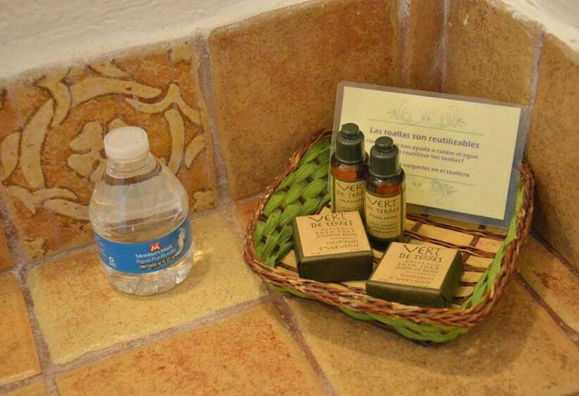 带海景的标准房, Caleta Tankah