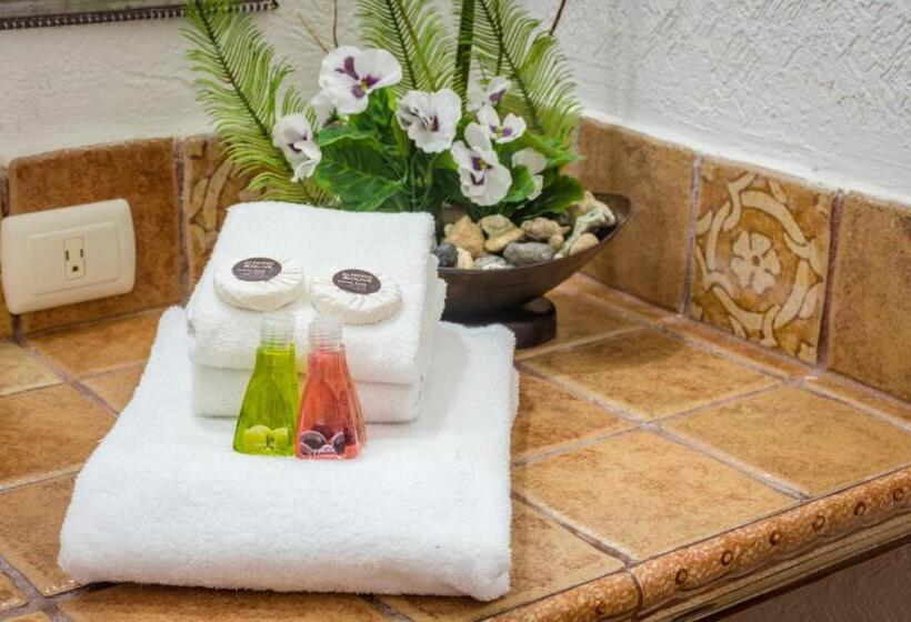 带海景的古典房间, Caleta Tankah