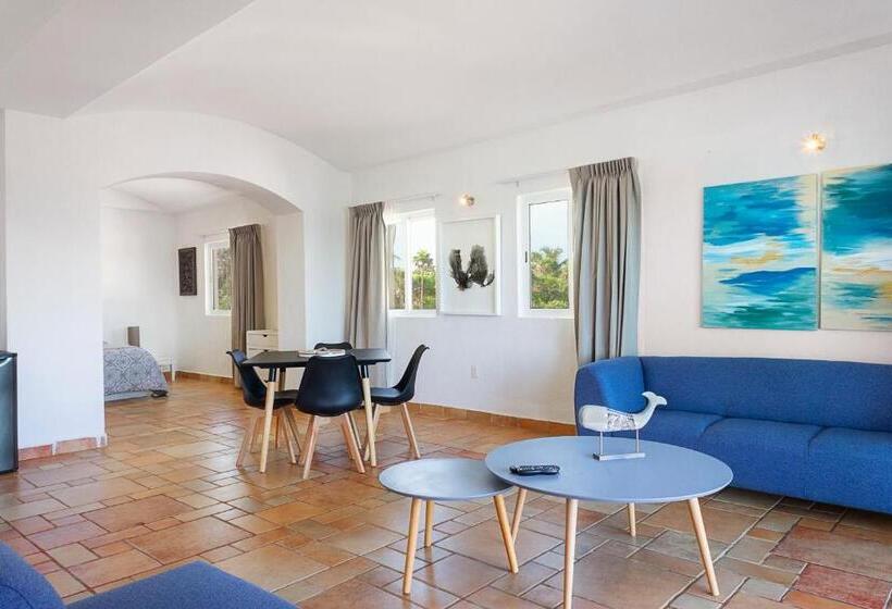 豪华房间, Caleta Tankah