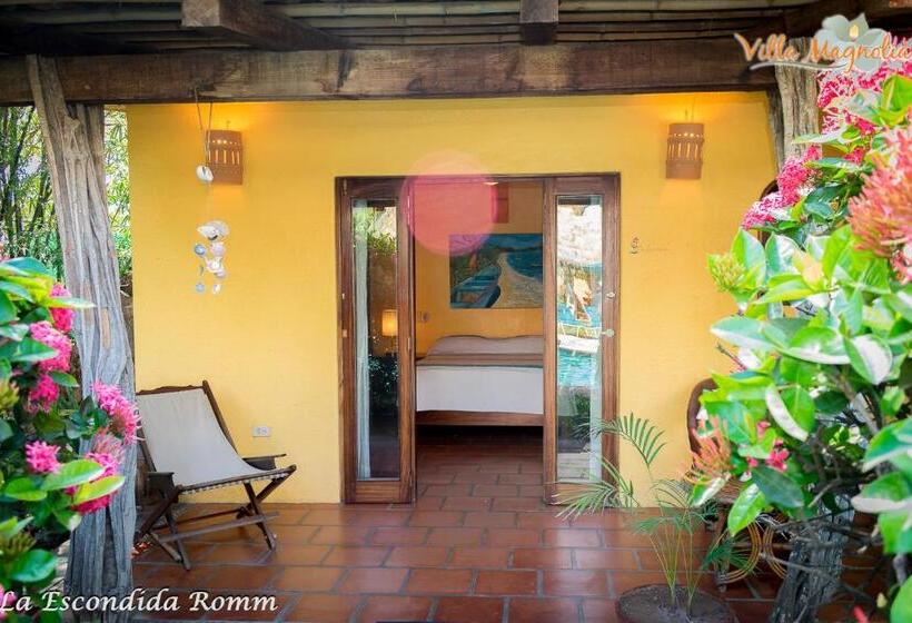 스탠다드 룸 풀장 전망, Casa Villa Magnolia