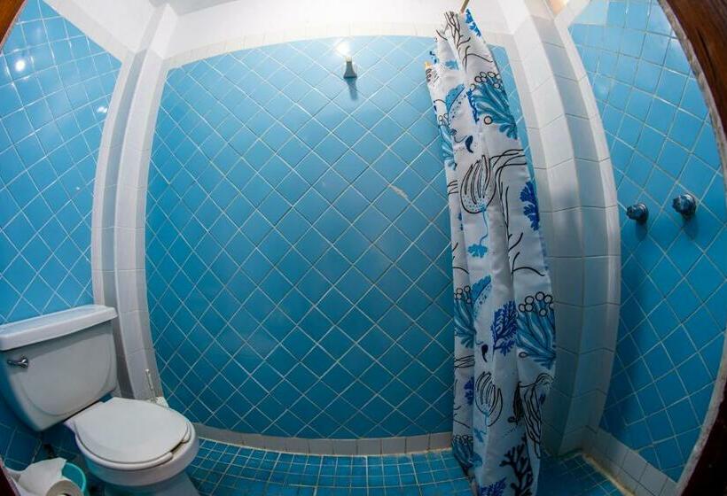 Apartamento 2 Dormitórios, Delfin