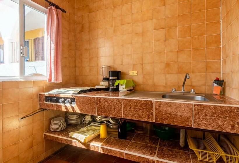Apartamento 2 Dormitórios, Delfin