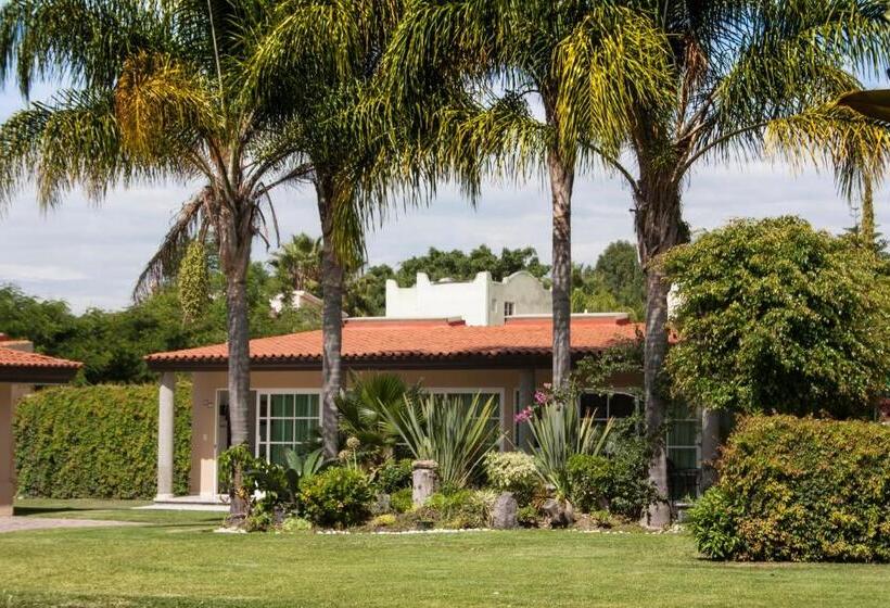 수피리어 룸, Esmeralda