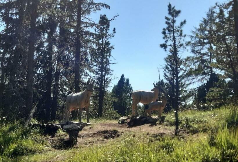 Номер Стандарт, Garni Franca B&b