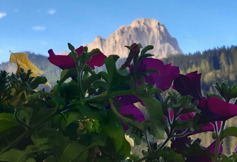 Номер Стандарт, Garni Franca B&b