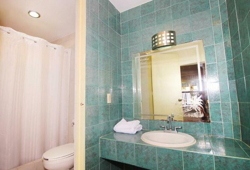 스탠다드 룸 킹사이즈 침대, Gran Palmeiras