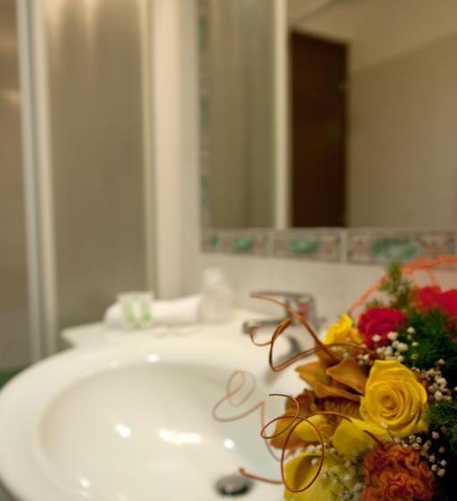 חדר סופריור לשלושה, Roma