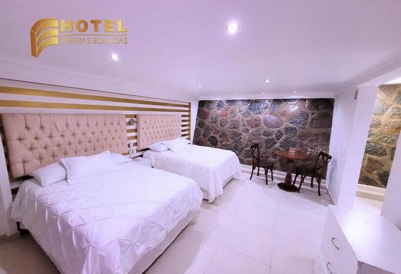 带2个双人床的标准工作室, Tierras Blancas