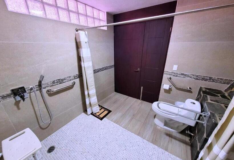 适合残疾人使用的标准间, Tierras Blancas