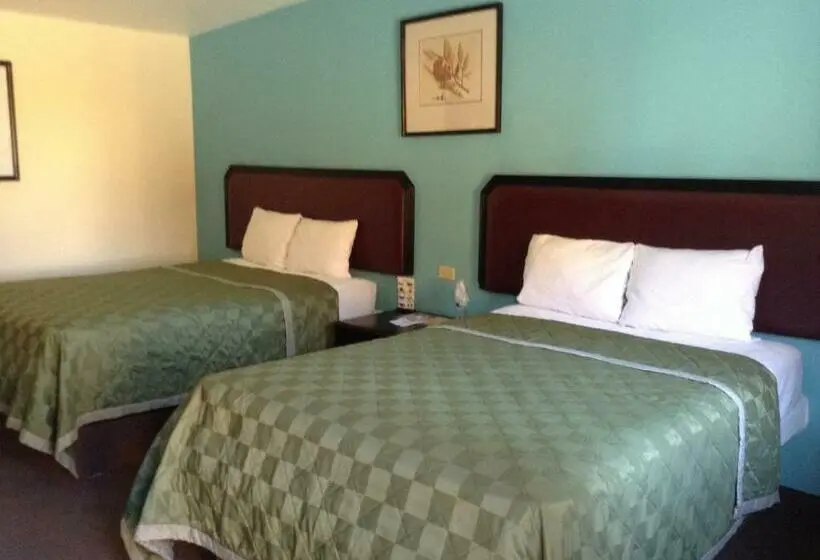 اتاق استاندارد, Motel Agora