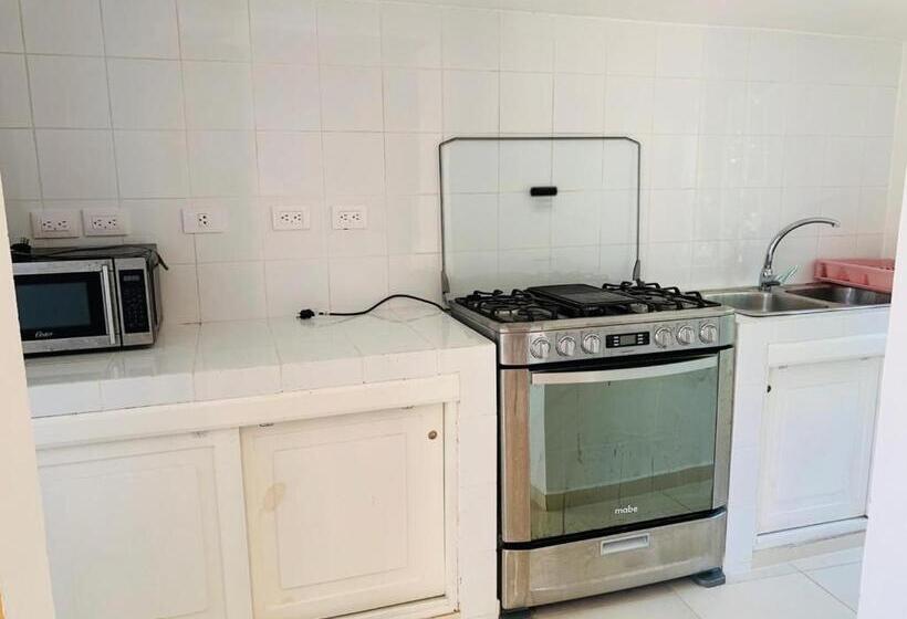 آپارتمان 1 خوابه همکف, Beach Hotel Casa Nina