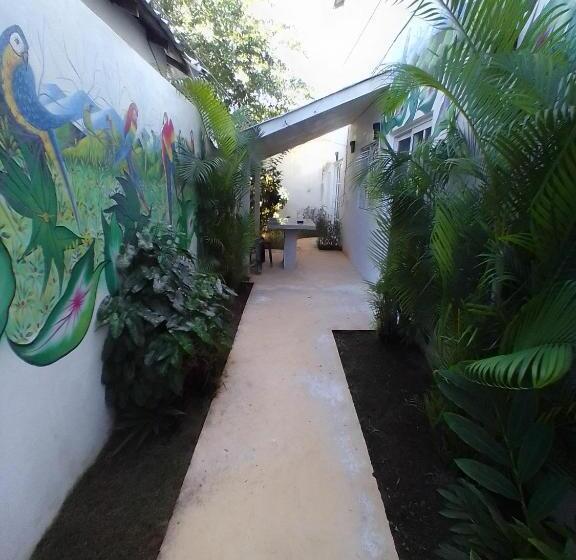 آپارتمان 1 خوابه همکف, Beach Hotel Casa Nina