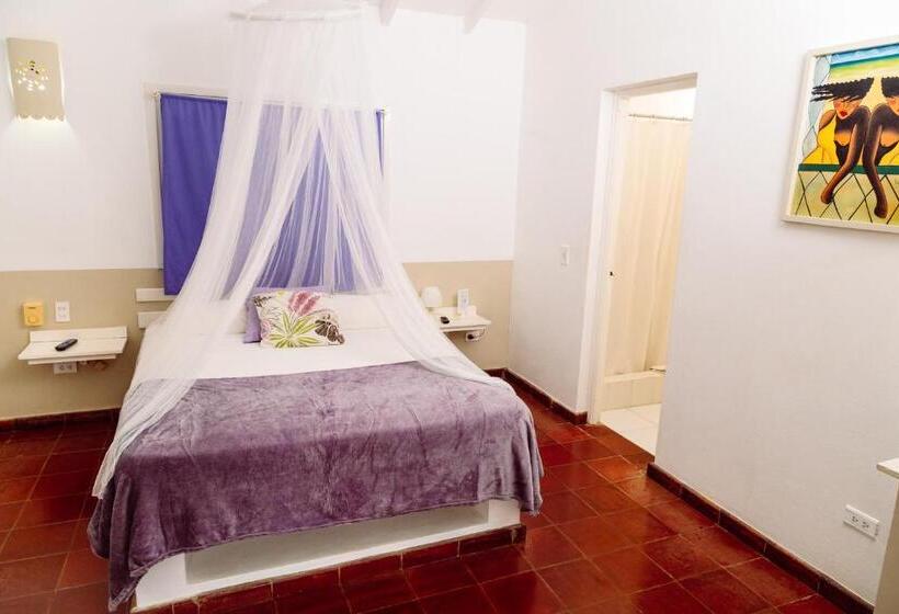 اتاق استاندارد بدون تهویه هوا, Beach Hotel Casa Nina