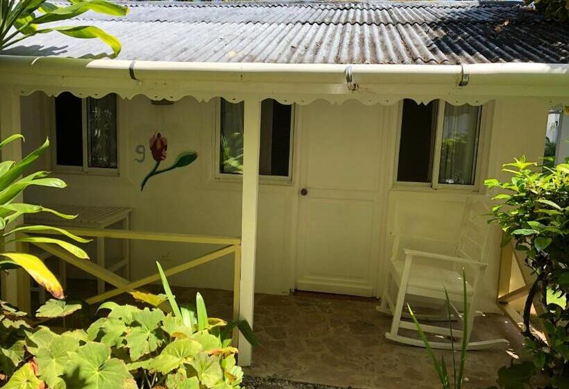 اتاق خانوادگی, Beach Hotel Casa Nina