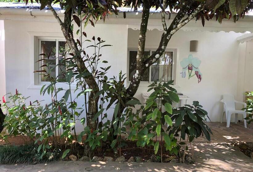 اتاق استاندارد سه نفره, Beach Hotel Casa Nina