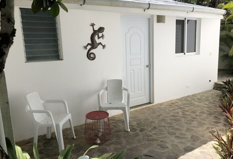 اتاق لوکس, Beach Hotel Casa Nina