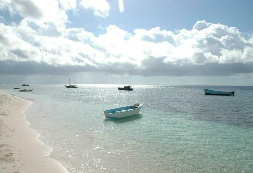 اتاق استاندارد با چشمانداز باغ, Caraibidamari
