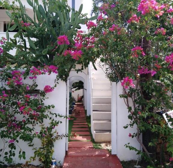 اتاق یک تخته با چشمانداز باغ, Caraibidamari