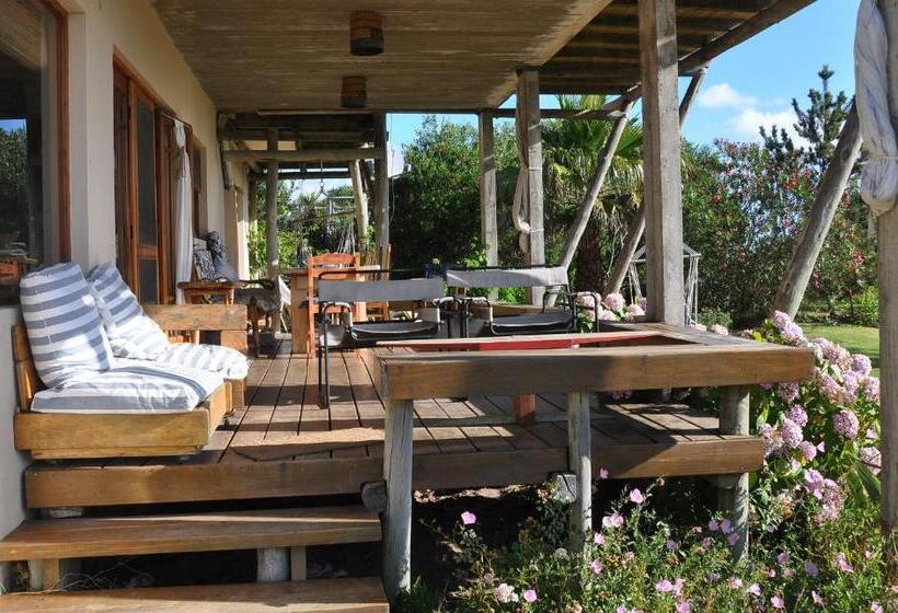 수피리어 테라스 룸, Hale Lau