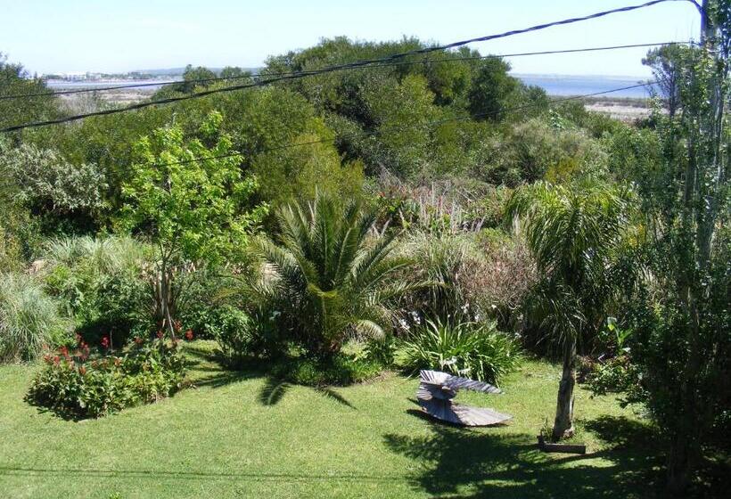 수피리어 테라스 룸, Hale Lau