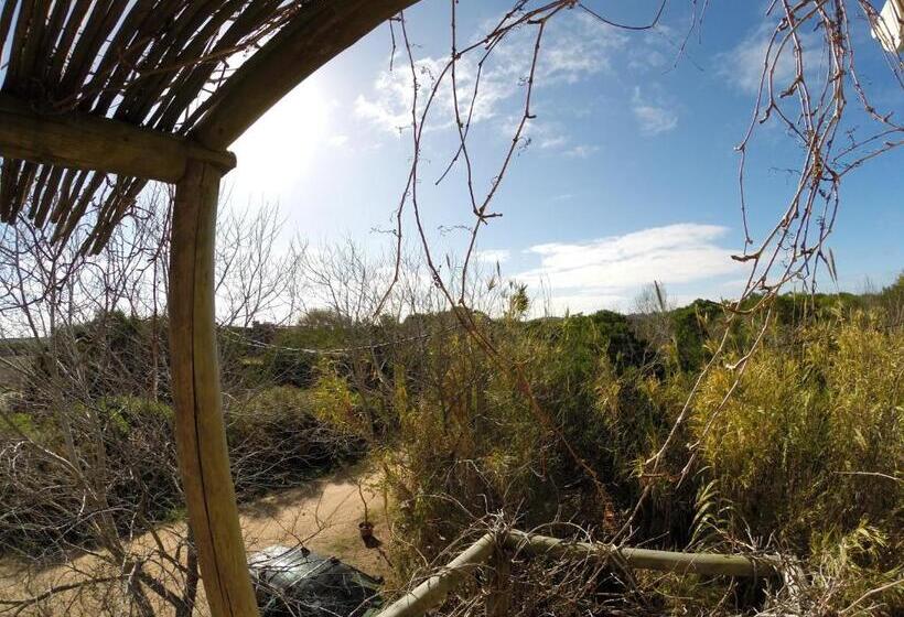 스탠다드 트리플 룸, Hale Lau