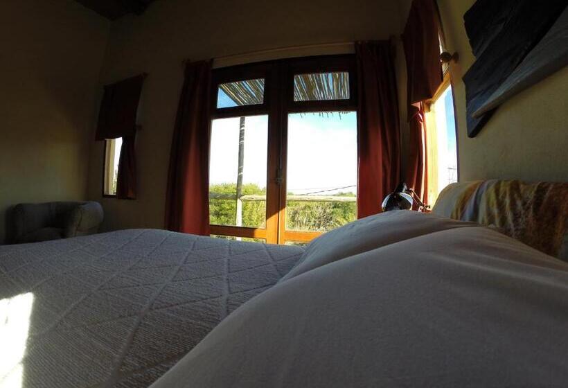 수피리어 테라스 룸, Hale Lau