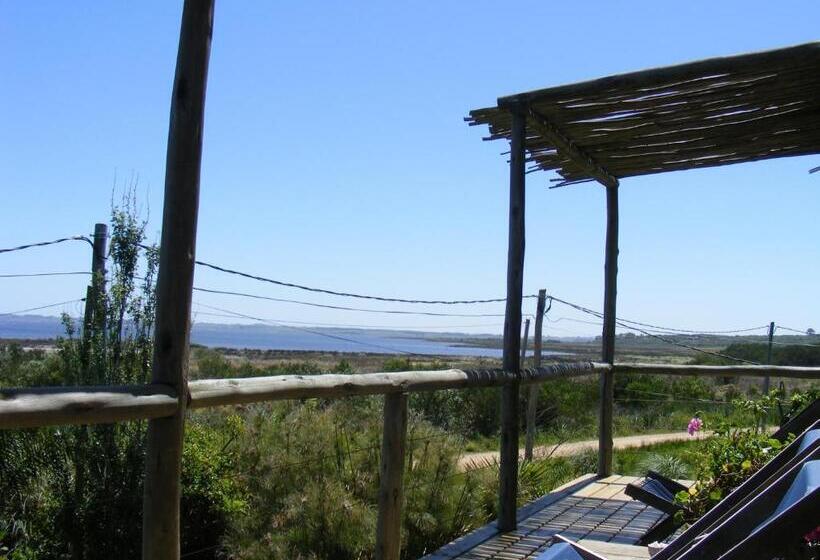 Habitación Superior con Terraza, Hale Lau