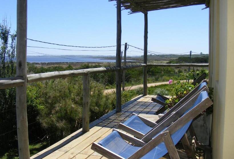 수피리어 테라스 룸, Hale Lau