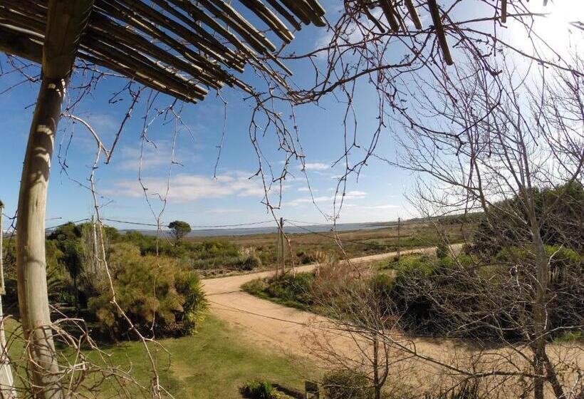 스탠다드 트리플 룸, Hale Lau