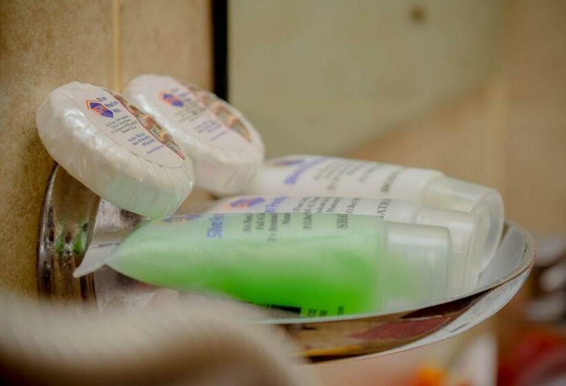 اتاق استاندارد, Silver Paradise