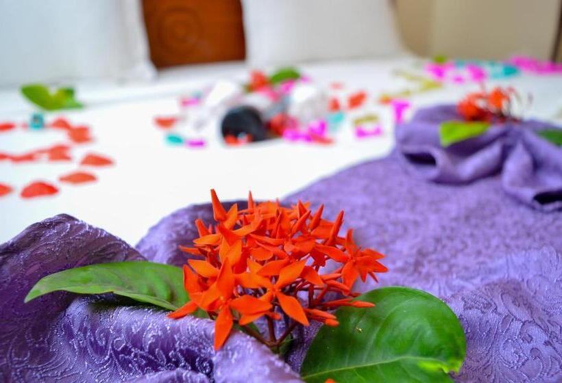 اتاق لوکس, Silver Paradise