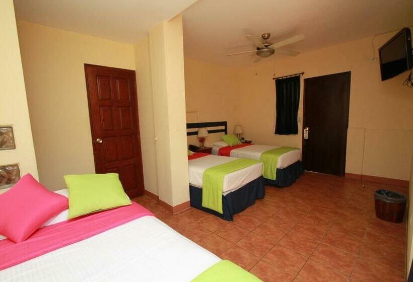 اتاق استاندارد یک نفره, Colibri