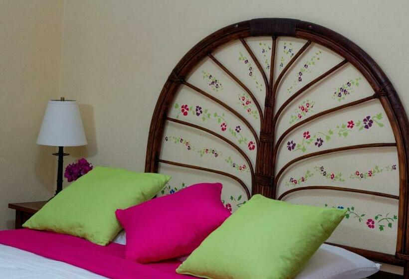 اتاق استاندارد یک نفره, Colibri