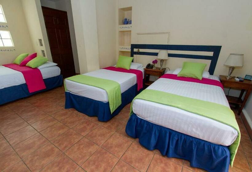 اتاق استاندارد چهار تخته, Colibri