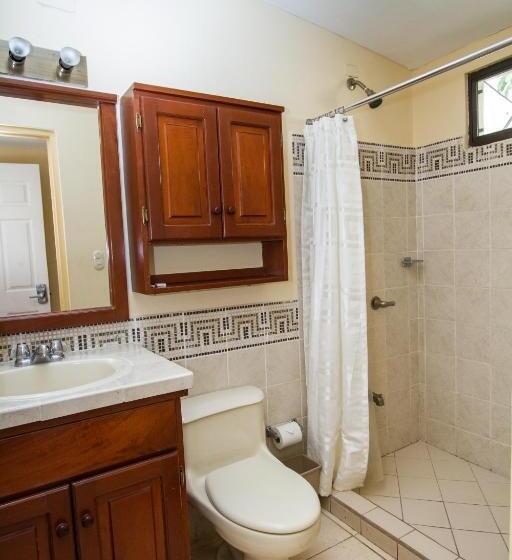 اتاق عادی, Colibri